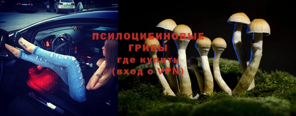 прущая мука Богородицк