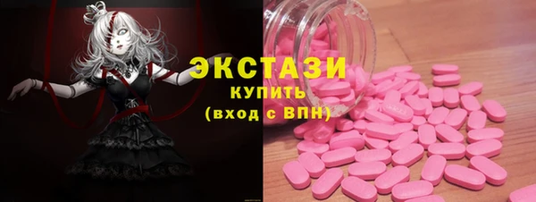 ECSTASY Богородск